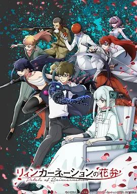 轮回的花瓣(全集)