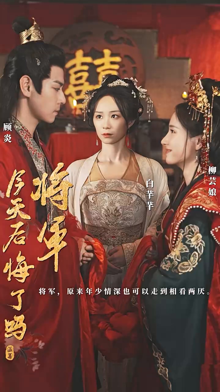 将军，今天后悔了吗第17集